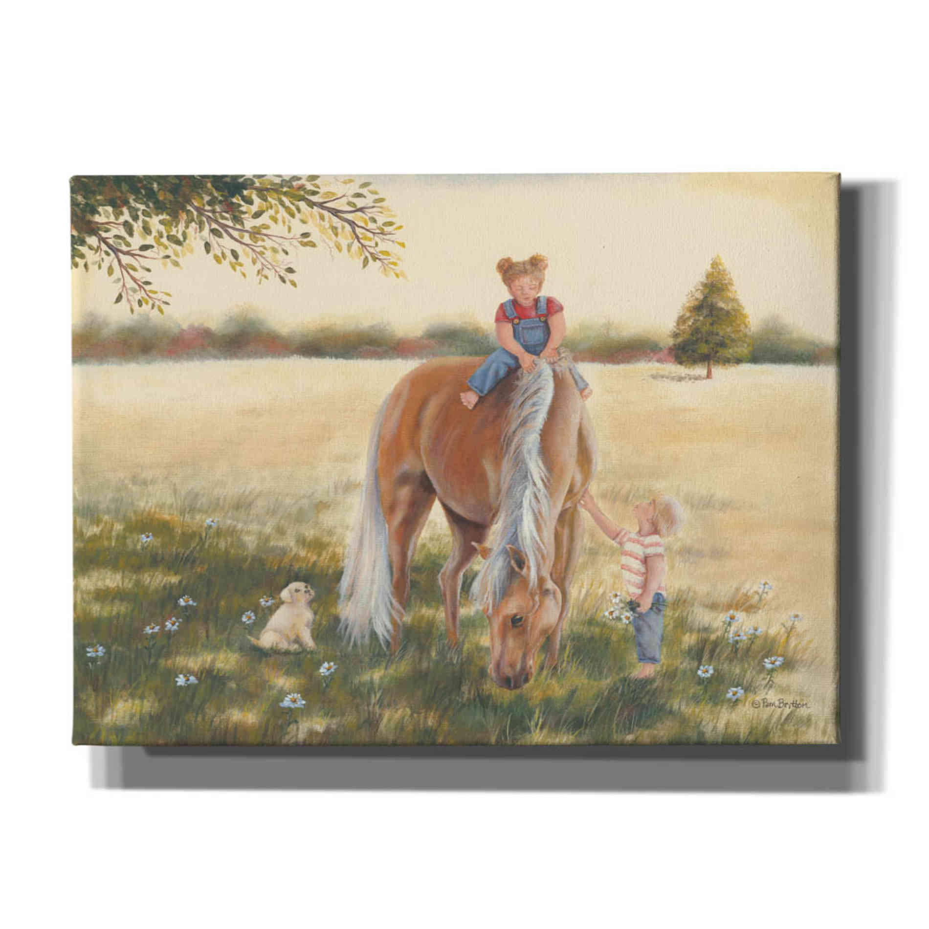 'Good Friends I' by Pam Britton, Canvas Wall Art