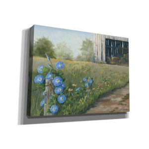 'Morning Glories & Hay Barn' by Pam Britton, Canvas Wall Art