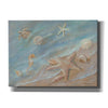 'Seashore Star I' by Pam Britton, Canvas Wall Art