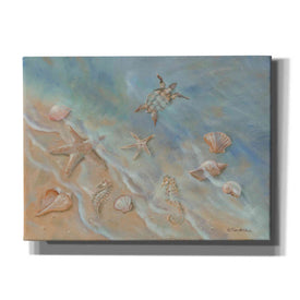 'Seashore Star II' by Pam Britton, Canvas Wall Art