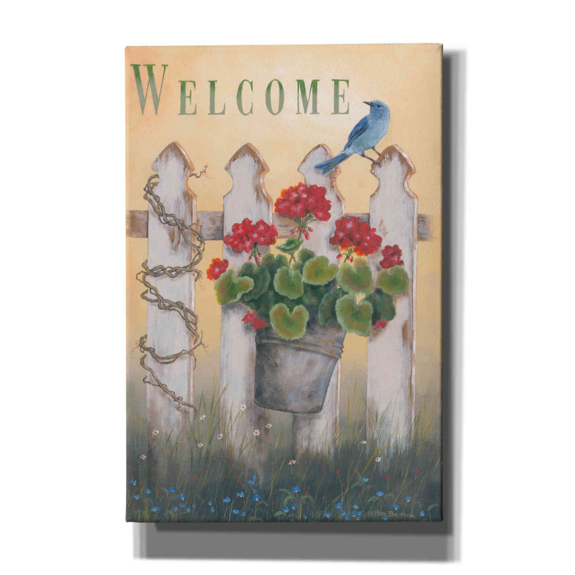 'Geraniums & Pickets' by Pam Britton, Canvas Wall Art