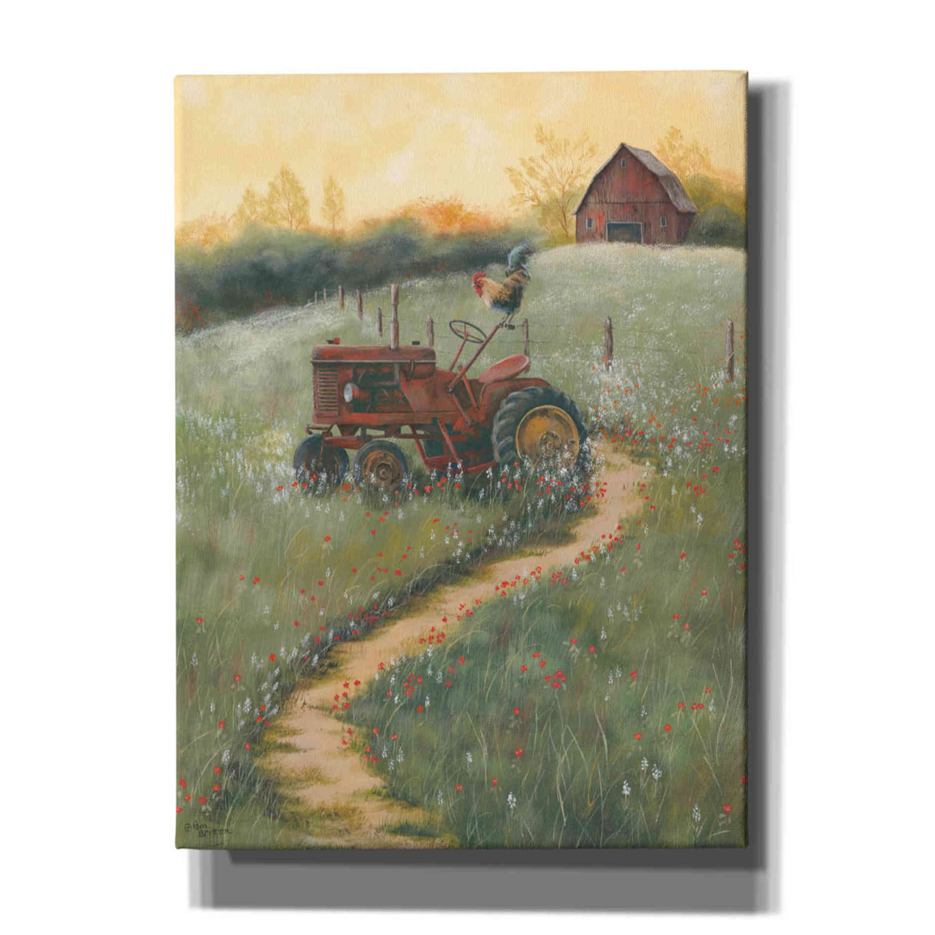 'The Old Tractor' by Pam Britton, Canvas Wall Art