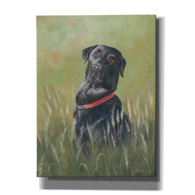 'Max' by Pam Britton, Canvas Wall Art