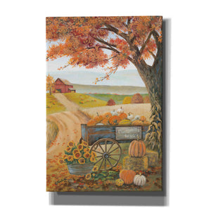 'Harvest Pumpkins' by Pam Britton, Canvas Wall Art