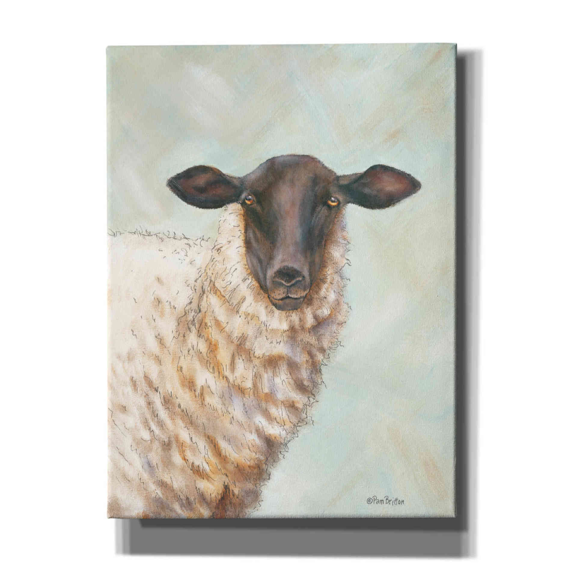 'Farm Sheep' by Pam Britton, Canvas Wall Art