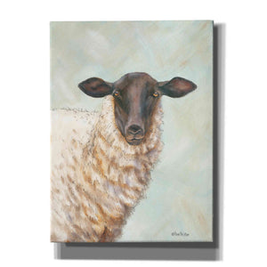 'Farm Sheep' by Pam Britton, Canvas Wall Art