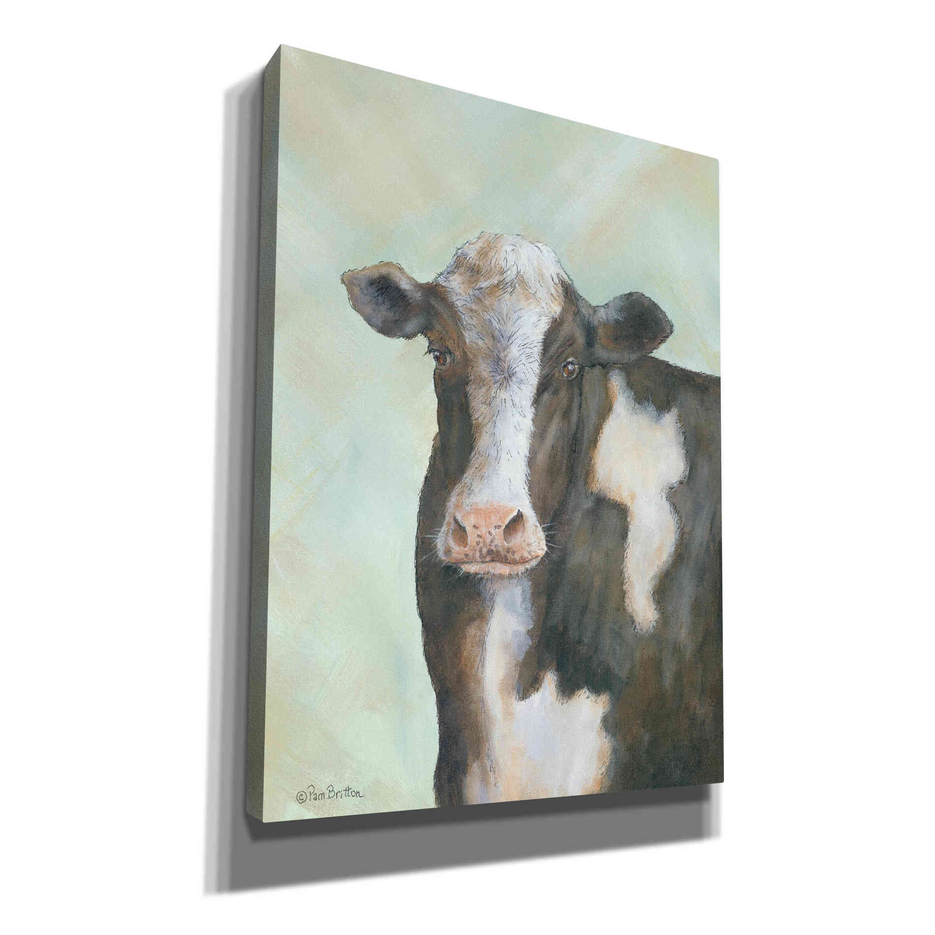 'Farm Cow' by Pam Britton, Canvas Wall Art