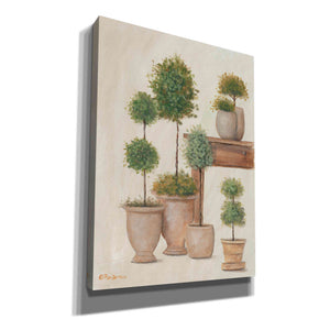 'Potting Bench & Topiaries I' by Pam Britton, Canvas Wall Art