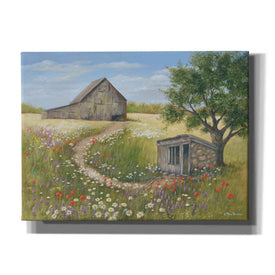 'Country Wildflowers II' by Pam Britton, Canvas Wall Art