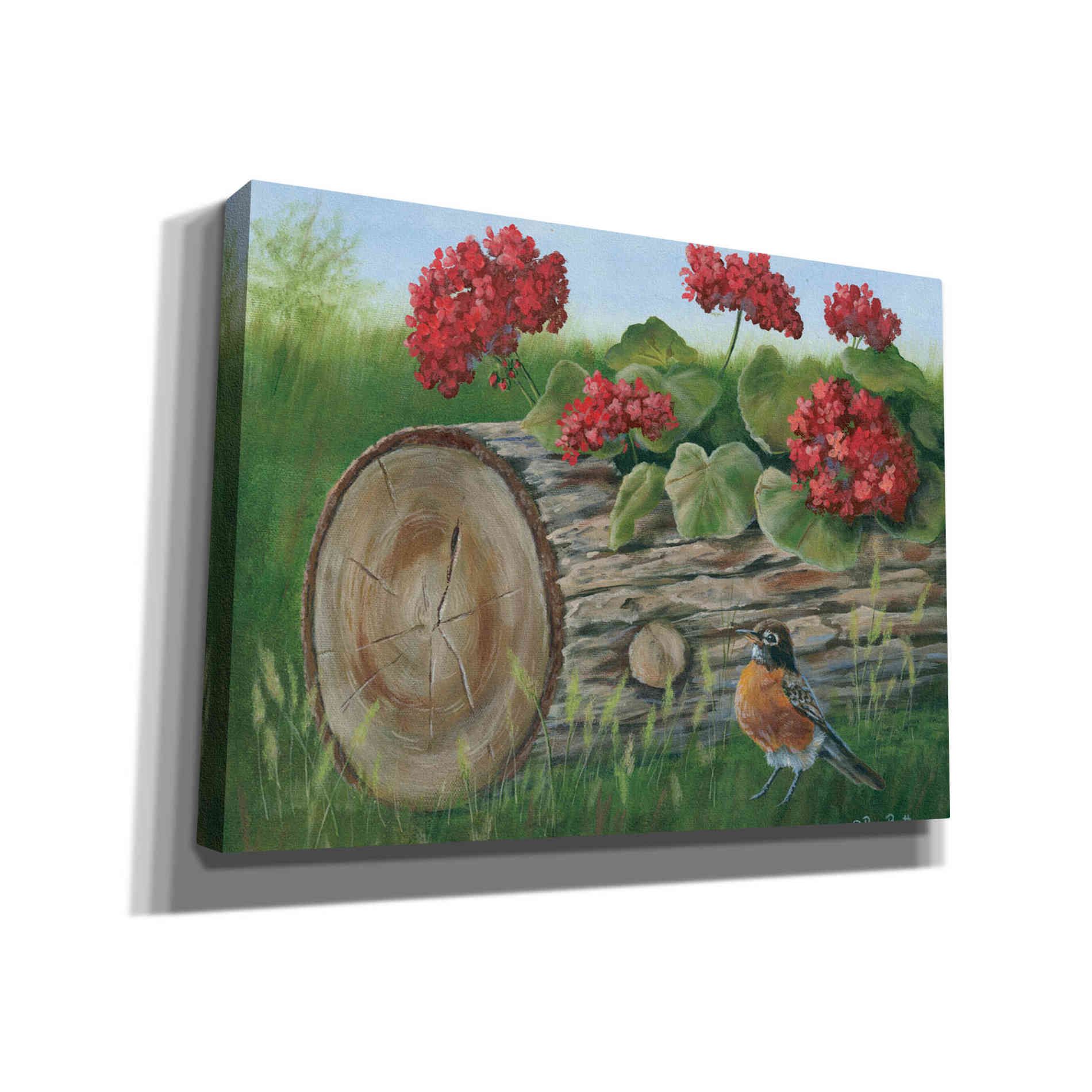 'Robin & Germaniums' by Pam Britton, Canvas Wall Art