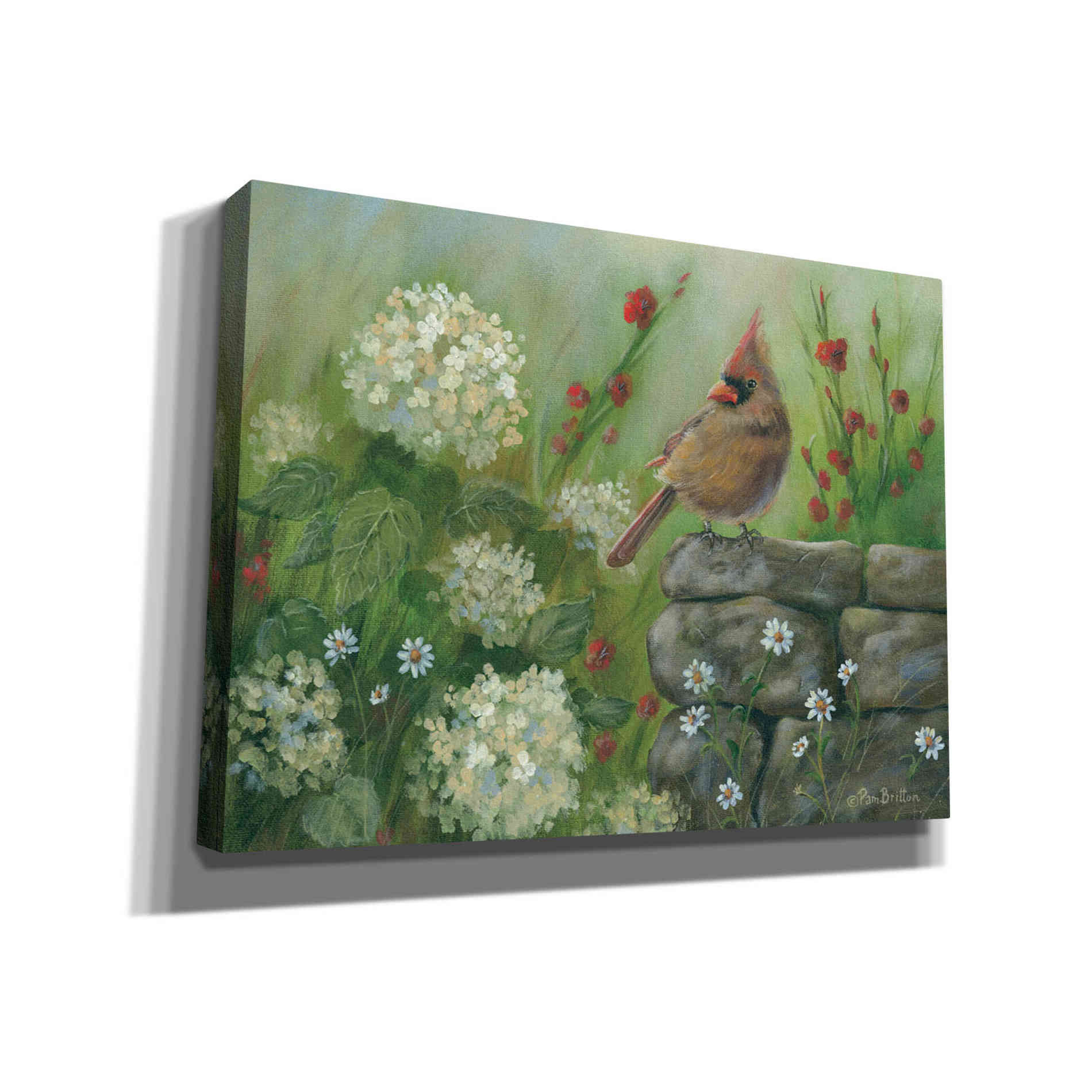 'Cardinal & Hydrangeas' by Pam Britton, Canvas Wall Art