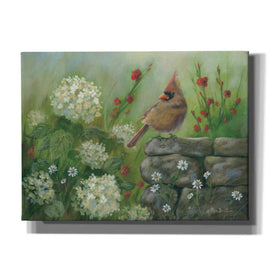 'Cardinal & Hydrangeas' by Pam Britton, Canvas Wall Art