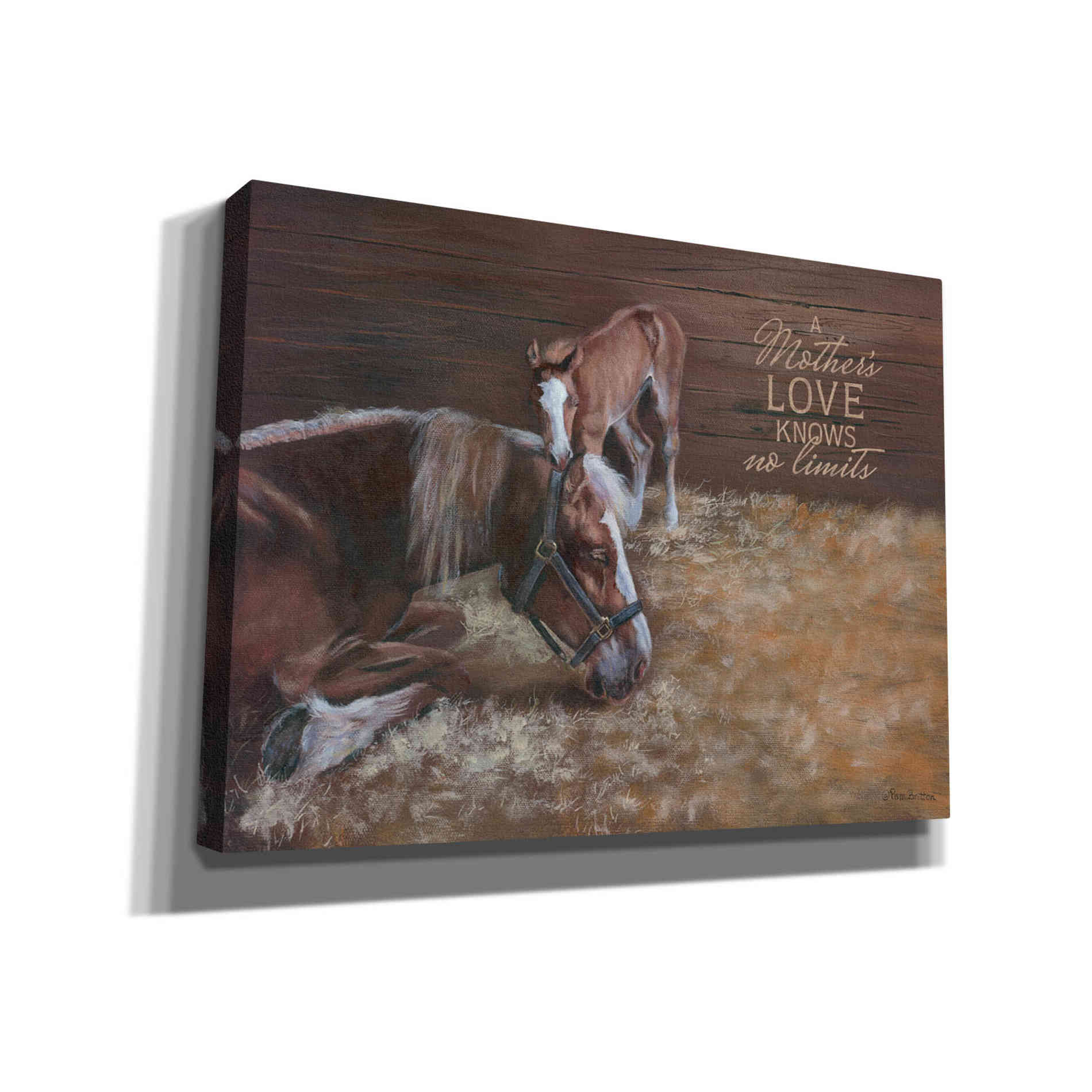 'A Mother's Love' by Pam Britton, Canvas Wall Art