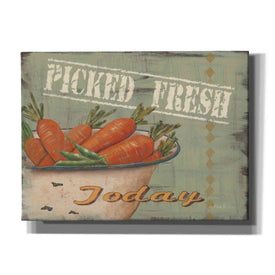 'Picked Fresh' by Pam Britton, Canvas Wall Art
