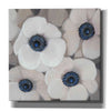 'White Anemone II' by Tim O'Toole, Canvas Wall Art