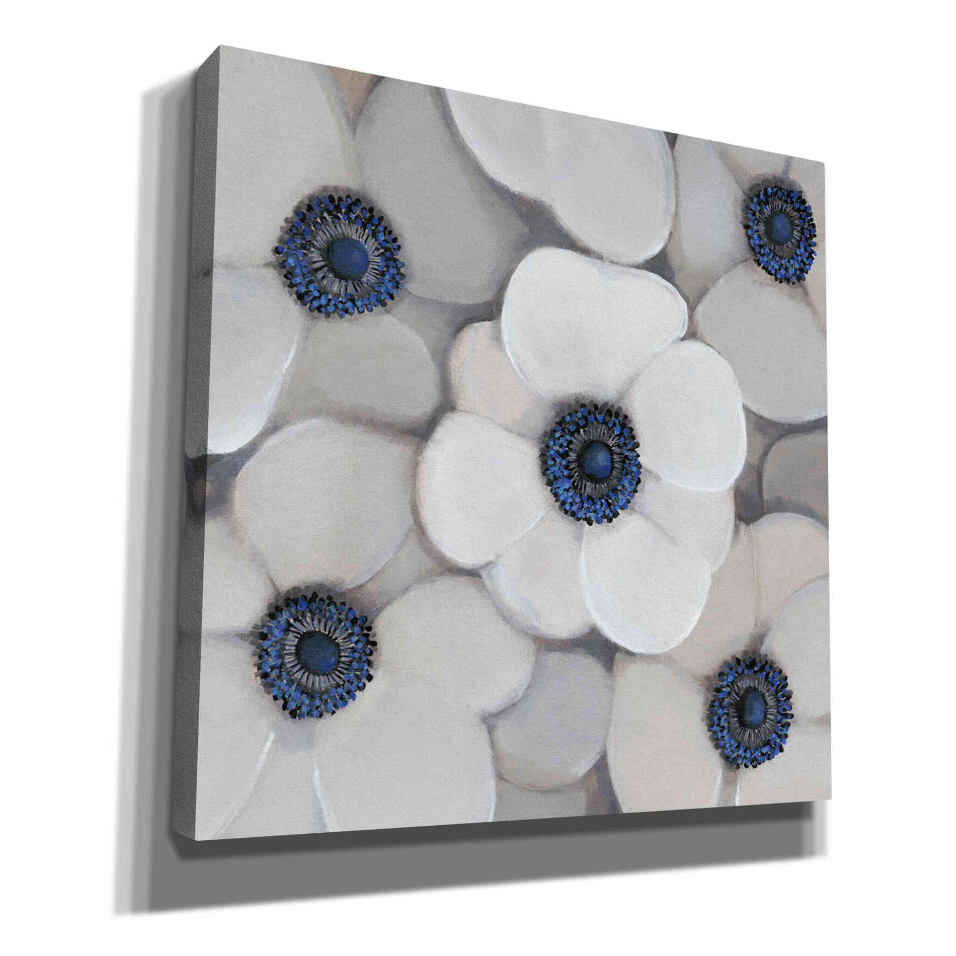 'White Anemone I' by Tim O'Toole, Canvas Wall Art
