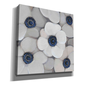 'White Anemone I' by Tim O'Toole, Canvas Wall Art