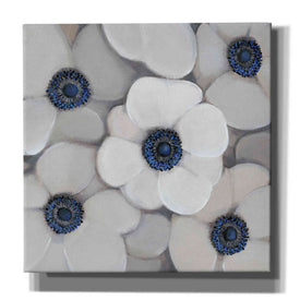 'White Anemone I' by Tim O'Toole, Canvas Wall Art