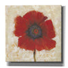 'Red Poppy Portrait II' by Tim O'Toole, Canvas Wall Art