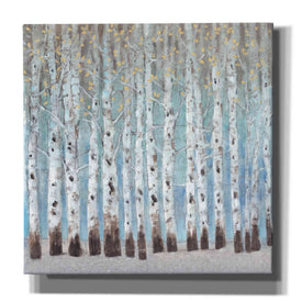 'Into the Forest II' by Tim O'Toole, Canvas Wall Art