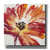 'Fleur Rouge I' by Tim O'Toole, Canvas Wall Art