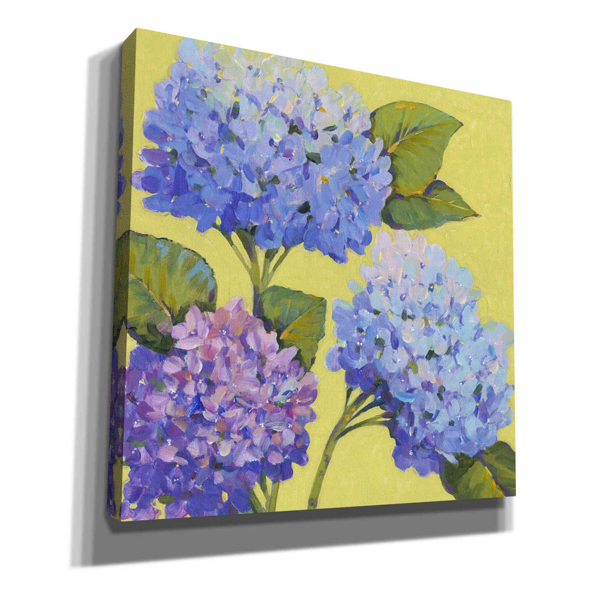 'Spring Hydrangeas II' by Tim O'Toole, Canvas Wall Art