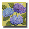 'Spring Hydrangeas I' by Tim O'Toole, Canvas Wall Art