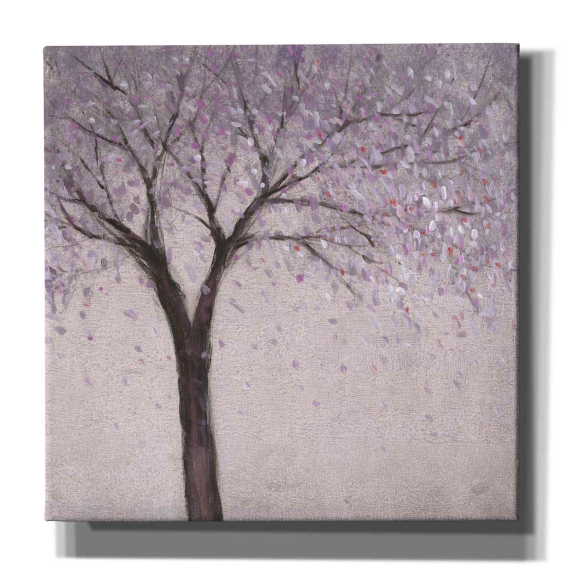 'Spring Blossom II' by Tim O'Toole, Canvas Wall Art