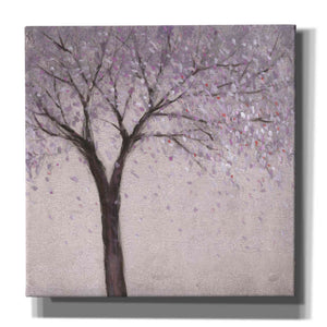 'Spring Blossom II' by Tim O'Toole, Canvas Wall Art