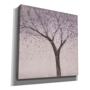 'Spring Blossom I' by Tim O'Toole, Canvas Wall Art