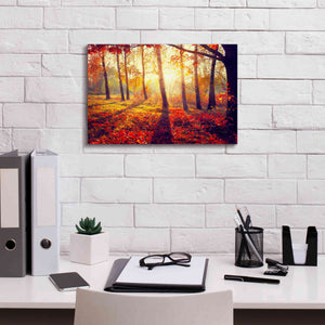'Golden Afternoon' Canvas Wall Art,18 x 12