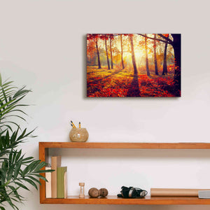 'Golden Afternoon' Canvas Wall Art,18 x 12