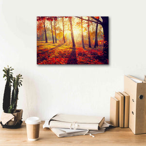 'Golden Afternoon' Canvas Wall Art,18 x 12