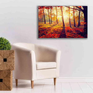 'Golden Afternoon' Canvas Wall Art,40 x 26