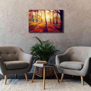 'Golden Afternoon' Canvas Wall Art,40 x 26