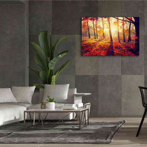 'Golden Afternoon' Canvas Wall Art,60 x 40