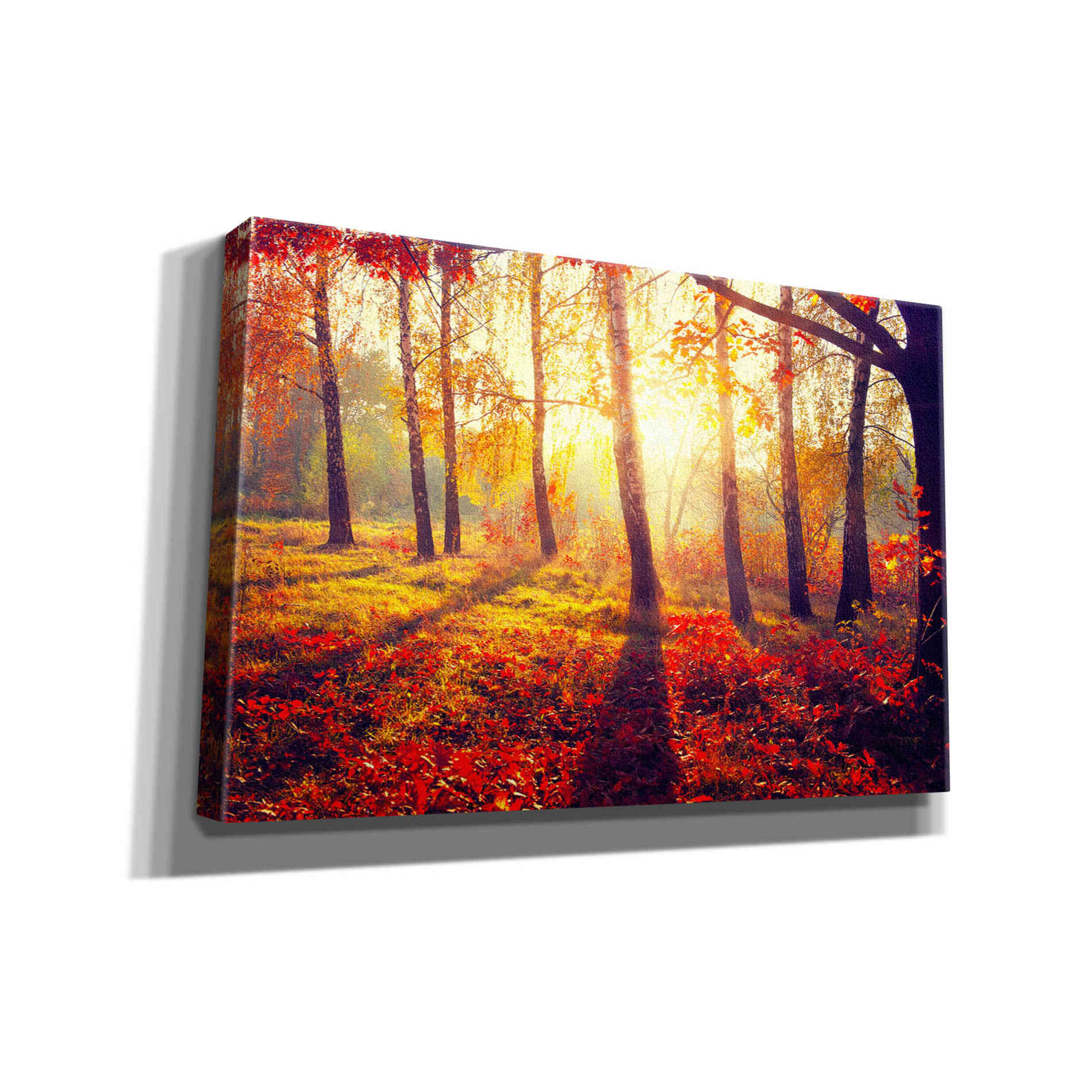 'Golden Afternoon' Canvas Wall Art