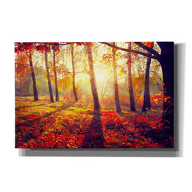 'Golden Afternoon' Canvas Wall Art