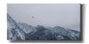 'Alpine Winter Bird' by Epic Portfolio, Giclee Canvas Wall Art
