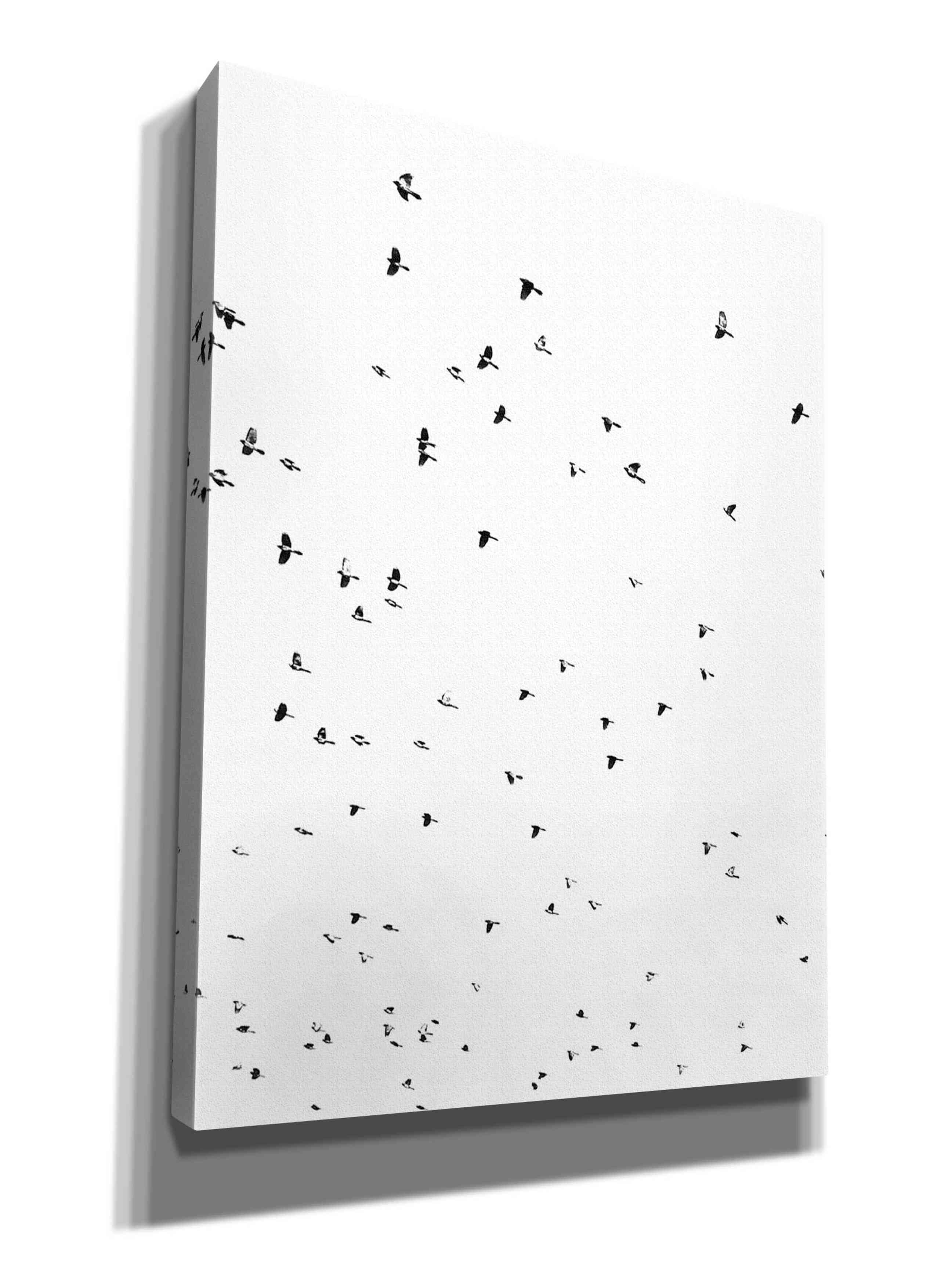 'Bird Constellation' by Epic Portfolio, Giclee Canvas Wall Art