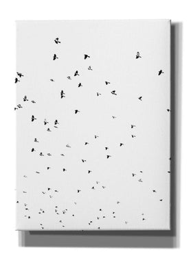 'Bird Constellation' by Epic Portfolio, Giclee Canvas Wall Art