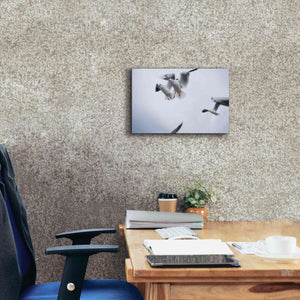'Bird Hug' by Epic Portfolio, Giclee Canvas Wall Art,18x12