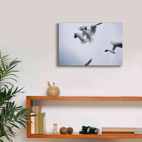 Image of 'Bird Hug' by Epic Portfolio, Giclee Canvas Wall Art,18x12
