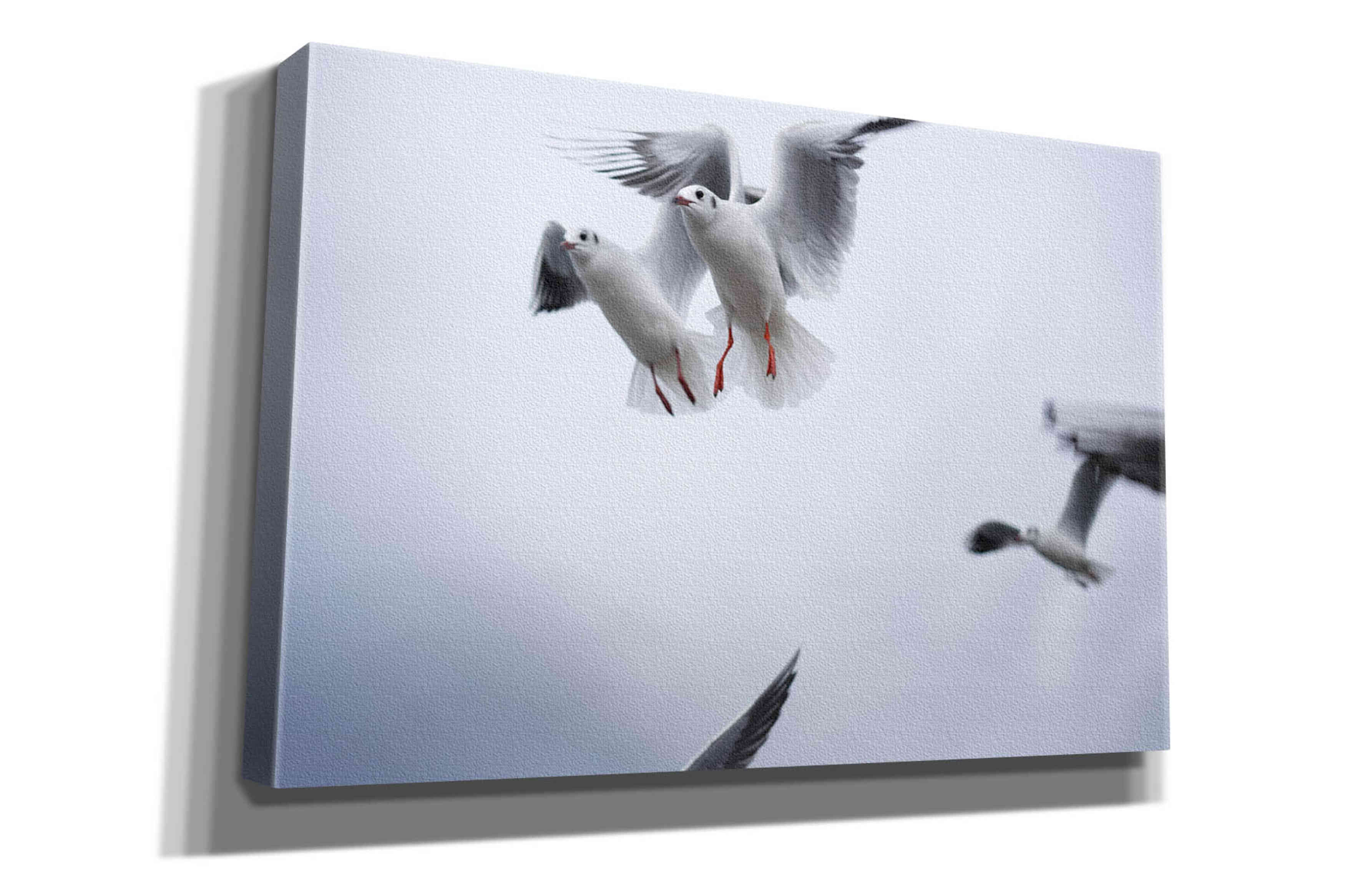 'Bird Hug' by Epic Portfolio, Giclee Canvas Wall Art