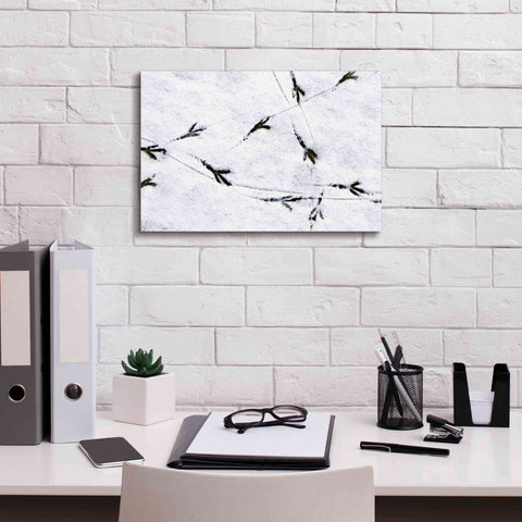Image of 'Bird's footprints' by Epic Portfolio, Giclee Canvas Wall Art,18x12