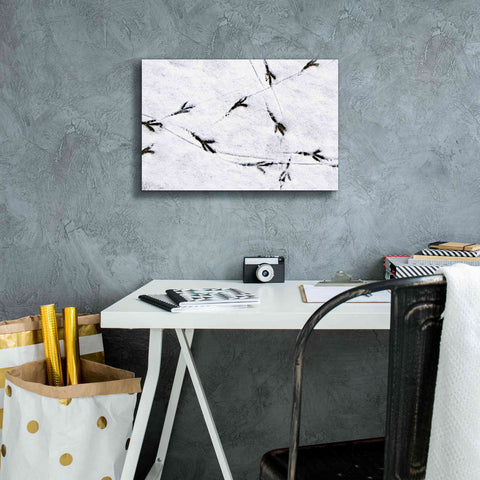 Image of 'Bird's footprints' by Epic Portfolio, Giclee Canvas Wall Art,18x12