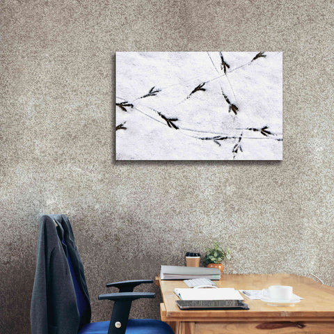 Image of 'Bird's footprints' by Epic Portfolio, Giclee Canvas Wall Art,40x26