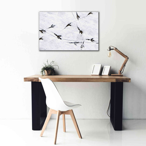 Image of 'Bird's footprints' by Epic Portfolio, Giclee Canvas Wall Art,40x26