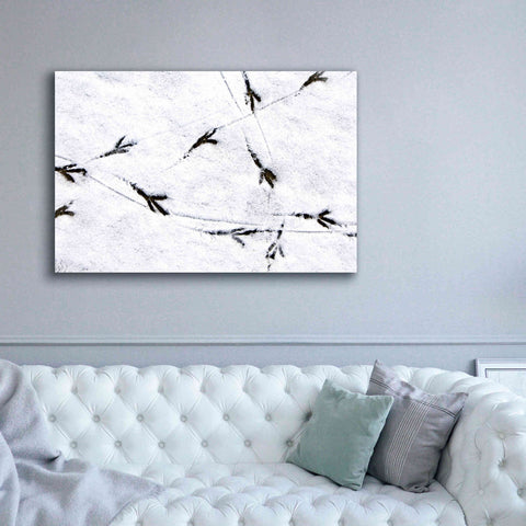 Image of 'Bird's footprints' by Epic Portfolio, Giclee Canvas Wall Art,60x40