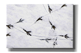 'Bird's footprints' by Epic Portfolio, Giclee Canvas Wall Art